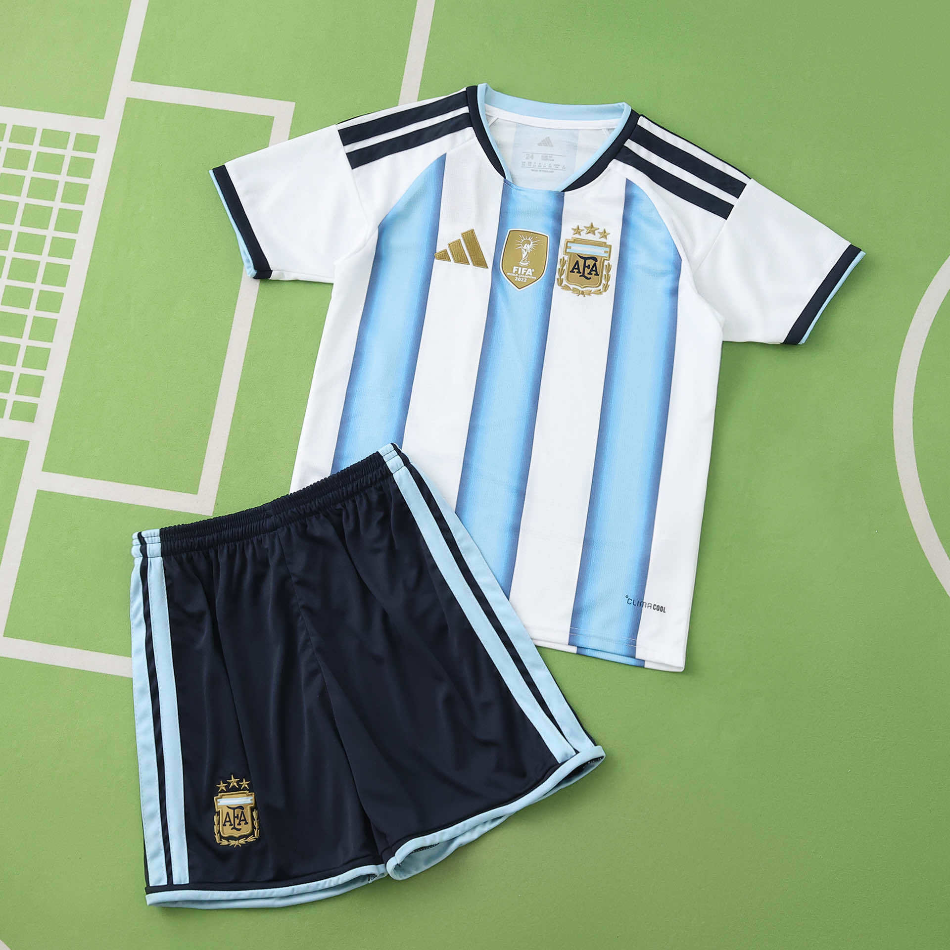 ARGENTINE DOMICILE 2026